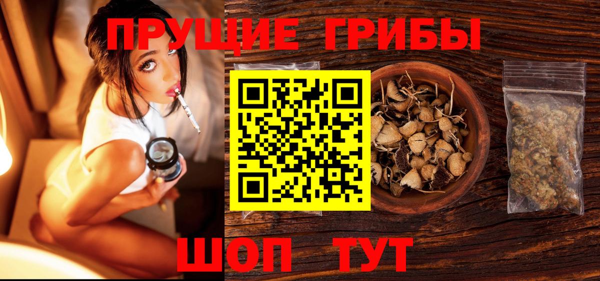 Псилоцибиновые грибы Psilocybine cubensis  Вход с VPN  Ачинск 