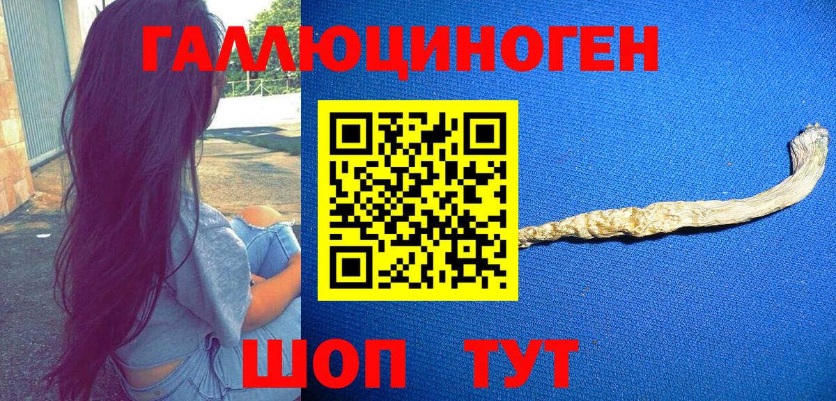 Галлюциногенные грибы Cubensis Ачинск