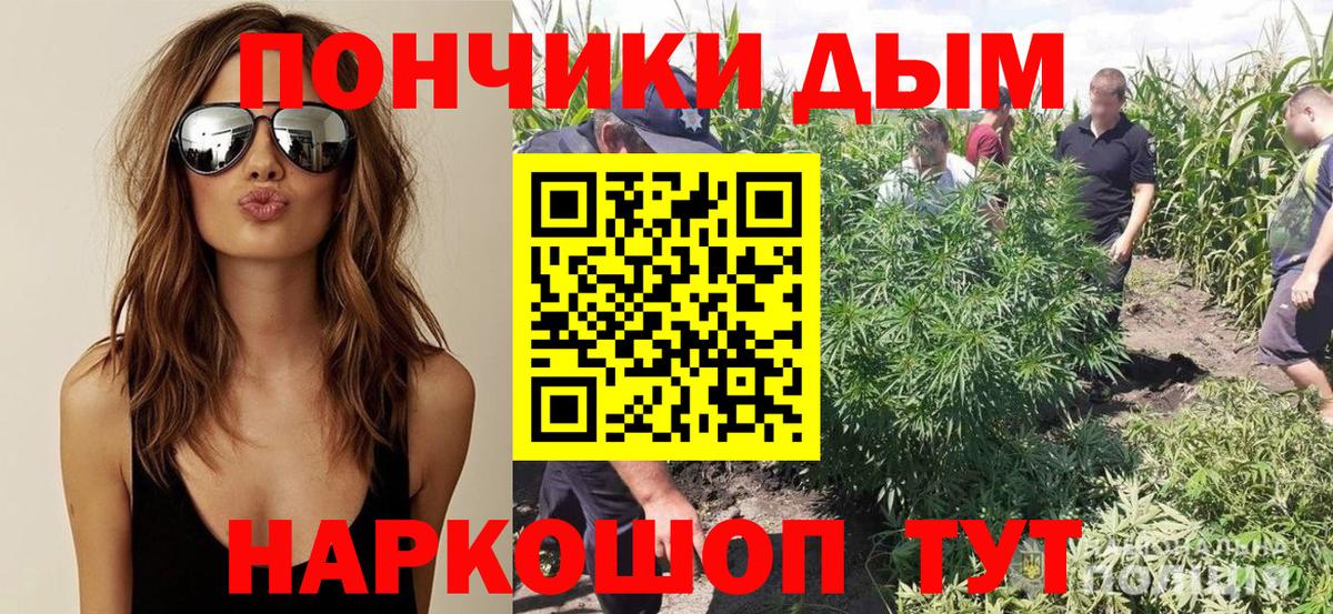 Каннабис Amnesia  Шишки марихуана Amnesia  Шишки марихуана OG Kush  Ачинск  Вход с VPN  Бошки марихуана марихуана 